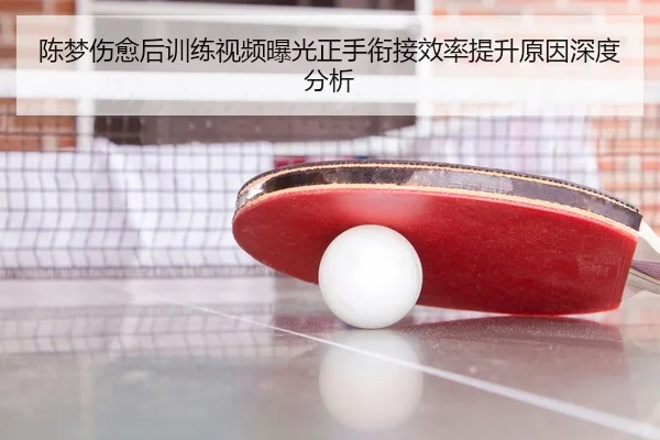 陈梦伤愈后训练视频曝光正手衔接效率提升原因深度分析